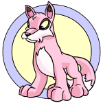 Pink Lupe