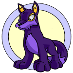 Purple Lupe