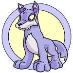 Purple Lupe