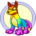 Rainbow Lupe