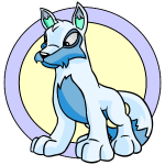 White Lupe