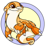 Orange Lutari