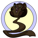 Brown Meerca