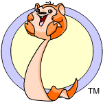 Orange Meerca