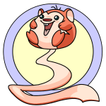 Orange Meerca