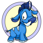 Blue Moehog