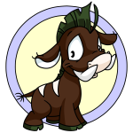 Brown Moehog
