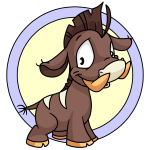 Brown Moehog