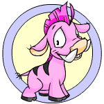 Pink Moehog