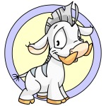 White Moehog