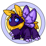 Purple Motere