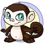 Brown Mynci