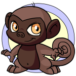 Brown Mynci