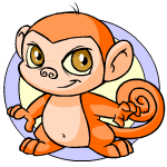 Orange Mynci
