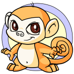 Orange Mynci