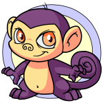 Purple Mynci