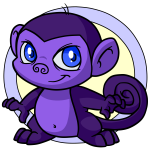 Purple Mynci