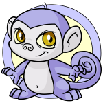 Purple Mynci
