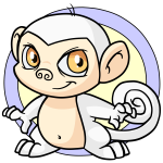 White Mynci