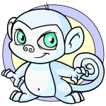 White Mynci