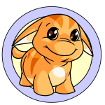 Orange Poogle