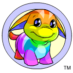 Rainbow Poogle