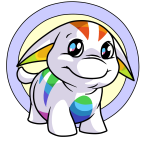 Rainbow Poogle