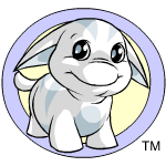 White Poogle