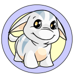 White Poogle