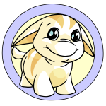 White Poogle