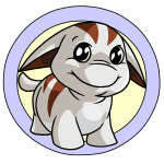 White Poogle