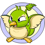 Green Pteri