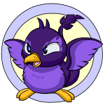 Purple Pteri