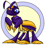 Purple Ruki