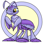 Purple Ruki