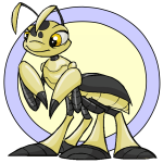 Yellow Ruki