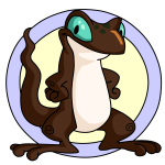 Brown Techo