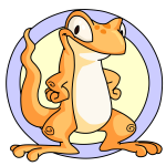 Orange Techo