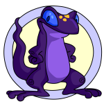 Purple Techo