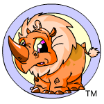 Orange Tonu
