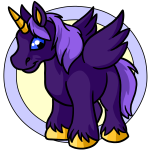 Purple Uni