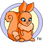 Orange Usul