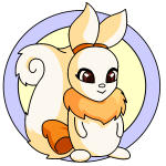Orange Usul