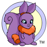 Purple Usul
