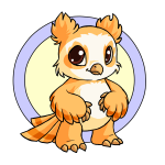 Orange Vandagyre