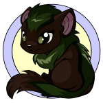 Brown Xweetok