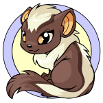Brown Xweetok
