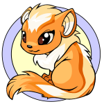 Orange Xweetok
