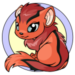 Orange Xweetok