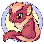 Pink Xweetok